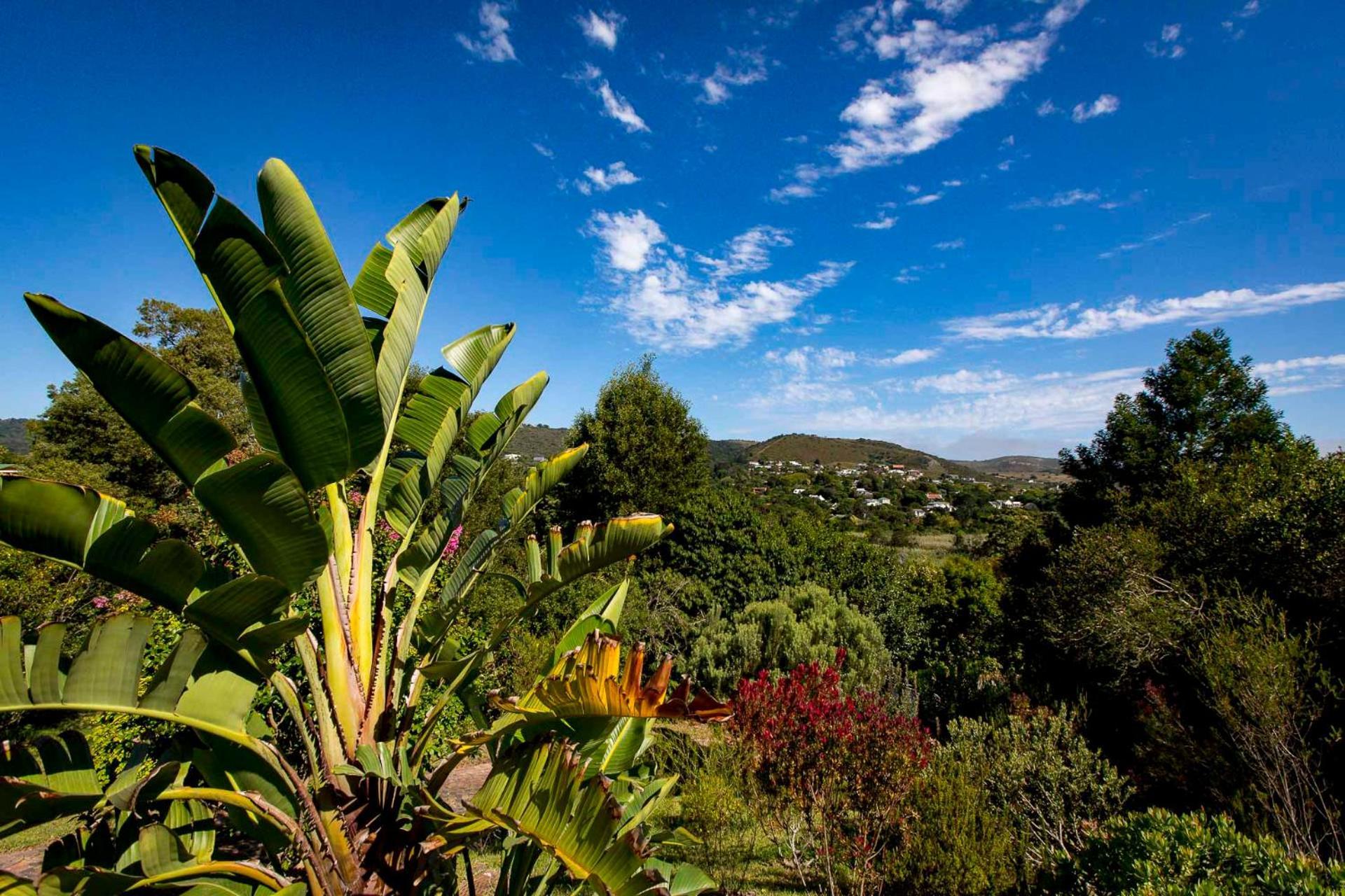 Ambiente Guest House Knysna Buitenkant foto